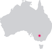 location-img